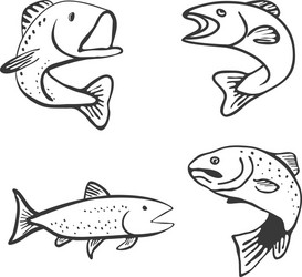 set of fish isolated on white background Vector Image