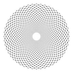 Intricate Circle Net Pattern vector image