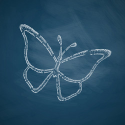 butterfly icon vector