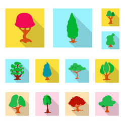 isolated object of tree and nature logo vector image