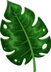 Monstera leaf with rib cage vintage apparel print Vector Image