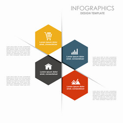 Infographic template can be used for workflow vector