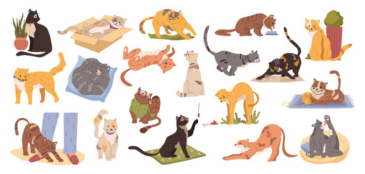 Cat Routine Vector Images (over 560)