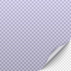 page curl with shadow vector image