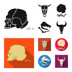 isolated object skeleton and character sign vector image