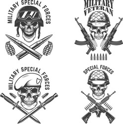 Military Skull Crossed Rifles Vector Image