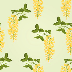 Laburnum Vector Images (64)