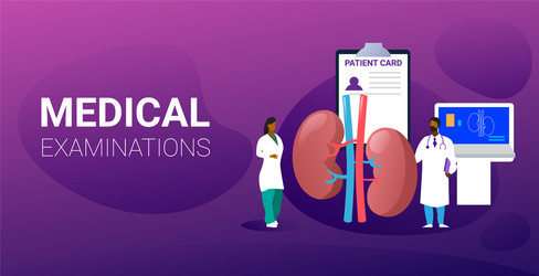 doctors team examining human kidneys medical vector