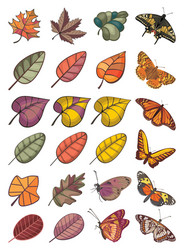 Collection of leaves and butterflies vector