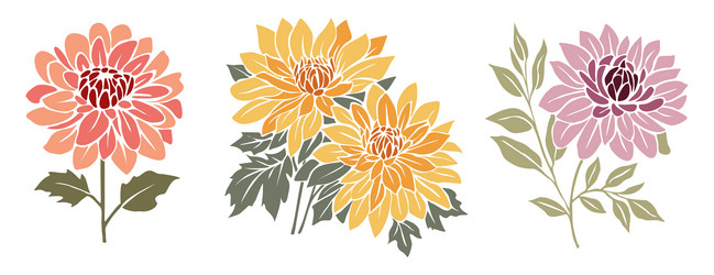 Colorful Dahlia Flowers Set Vector Image