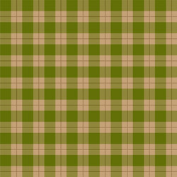tartan seamless pattern background autumn color vector image