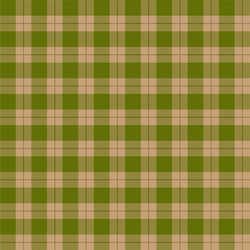 Tartan seamless pattern background autumn color vector