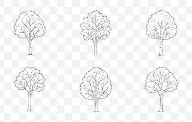 print aspen tree line art set with detailed vector image