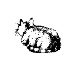 One line drawing cat sitting with curled tail Vector Image
