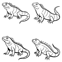 3d rendering of dynamic iguana silhouette line art vector image