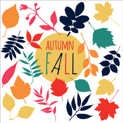 autumn fall leaf set design nature element vector image