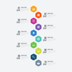 Business Workflow Diagram Template vector image