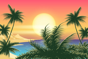 Tropical beautiful sunset landscape palms sea Vector Image
