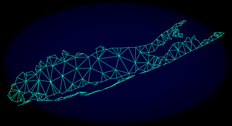 polygonal network mesh abstract map of long vector