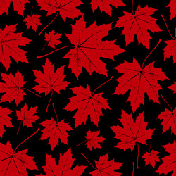 Maple Leaf Autumn Seamless Pattern vector image