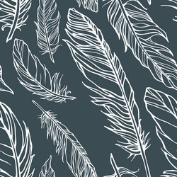 seamless pattern with feathers vector