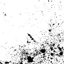 grunge texture Vector Image