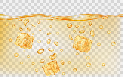 Ice cubes collection Royalty Free Vector Image
