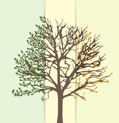 an abstract tree summer and fall vector image