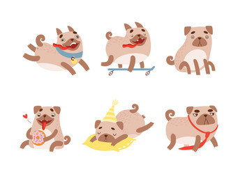 Funny pug dog with curled tail and light brown vector