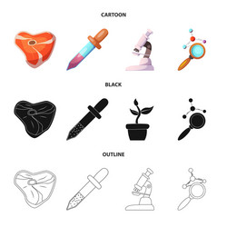 isolated object of and icon set s vector image