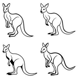 3d rendering of dynamic kangaroo silhouette line vector image