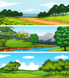 Three nature scenes with fields and trees vector