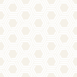 Subtle Lattice Pattern vector image