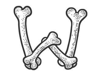 Bone Letter W Sketch Vector Image
