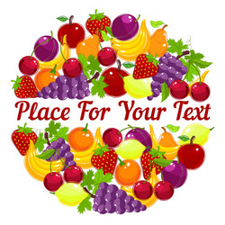 fresh fruit in a circular design with copyspace vector image