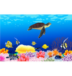 Green sea turtle life cycle Royalty Free Vector Image