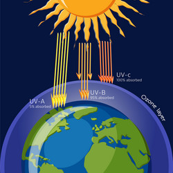 Ozone layer protection from ultraviolet radiation vector