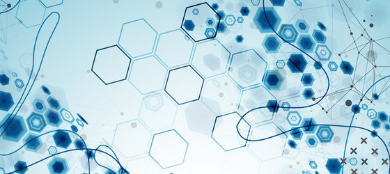 abstract hexagon background with plexus effect vector image
