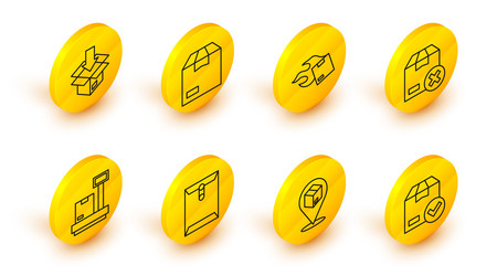 set line ackage box with check mark location vector image