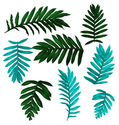 tropical leaf set Vector Image