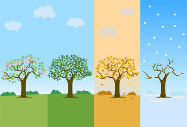 Cartoon tree seasons set on a nature landscape Vector Image