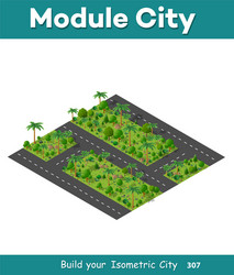 isometric road in the forest vector