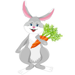 smiling rabbit with carrot on white background vector image