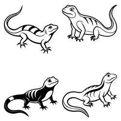 3d rendering of dynamic lizard silhouette line art vector image