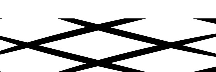 diagonal oblique grid mesh pattern lattice vector image