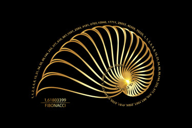 fibonacci sequence golden ratio geometric shapes vector image