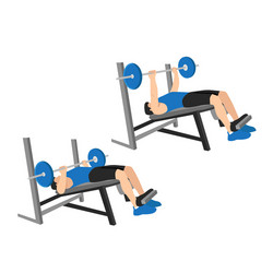 Man doing barbell bench press chest Royalty Free Vector