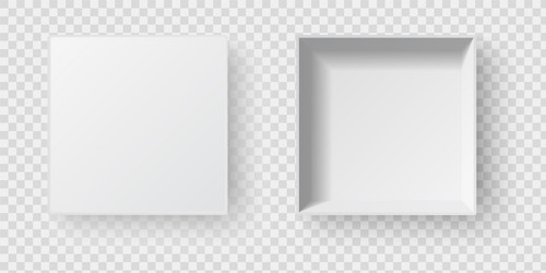empty open white square pack box with shadow vector image