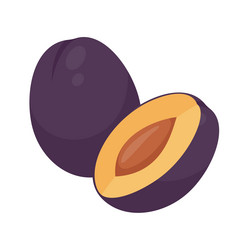 Purple prunes high fiber fruit help the digestive Vector Image