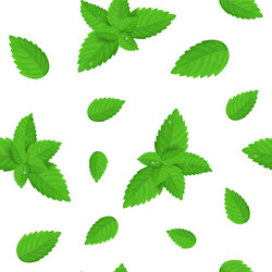 Fresh mint seamless pattern Royalty Free Vector Image